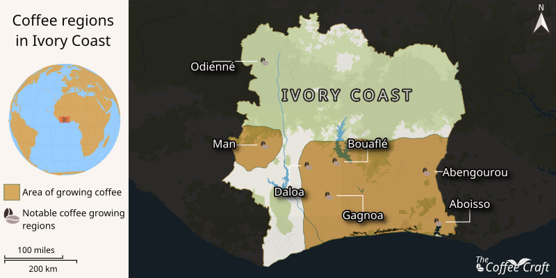 Map highlighting Ivory Coast’s key coffee-growing regions, including Western Region, Central Region, Southern Region, Northern and Eastern Regions.
