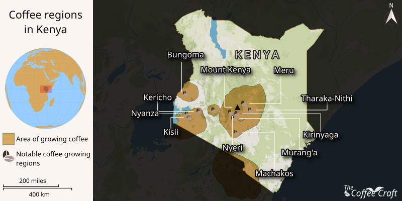A map highlighting Kenya's key coffee-growing regions, including Kiambu, Nyeri, and Murang’a. It features topography, climate, and local coffee varieties, with labeled towns and coffee zones showcasing Kenya's rich coffee heritage.