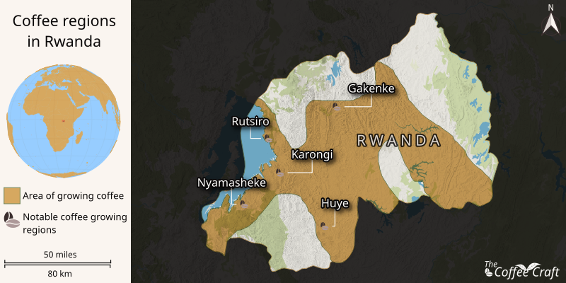 Map highlighting Rwanda’s key coffee-growing regions, including Nyamasheke, Gakenke, Rubavu, Karongi, Rutsiro, and Huye.