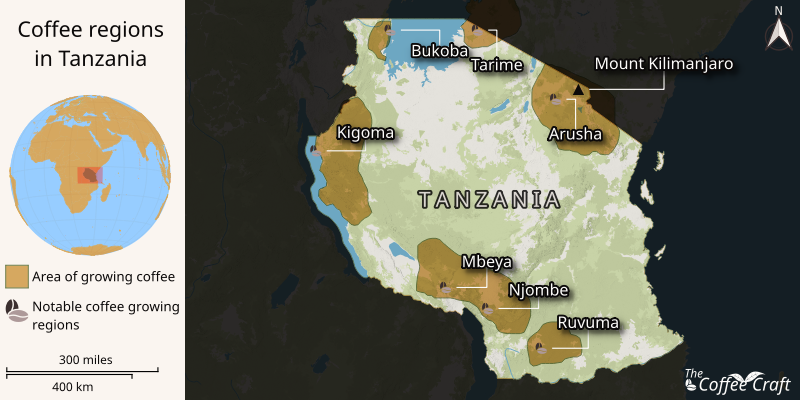 A map highlighting Tanzania's key coffee-growing regions, including Kilimanjaro, Mbeya, and Arusha. It features topography, climate, and local coffee varieties, with labeled towns and coffee zones showcasing Tanzania's rich coffee heritage.